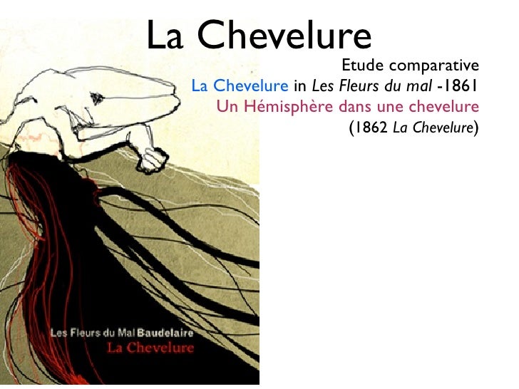 Le Spleen De Paris Résumé Par Chapitre