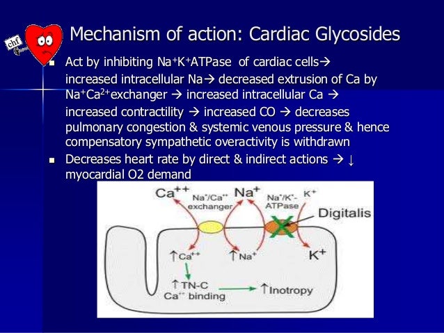 Pharmacotherapy of Heart Failure Pharmacotherapy of Heart Failure