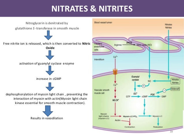 Levitra Mechanism Of Action