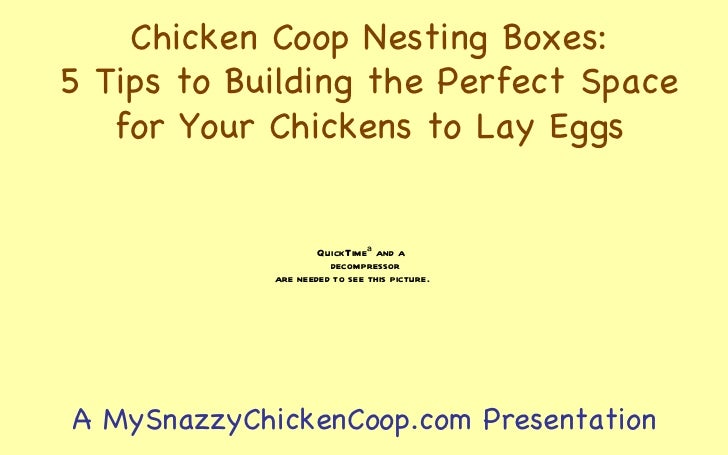 Chicken Coop Nesting Boxes: 5 Tips to Building the Perfect Space for 