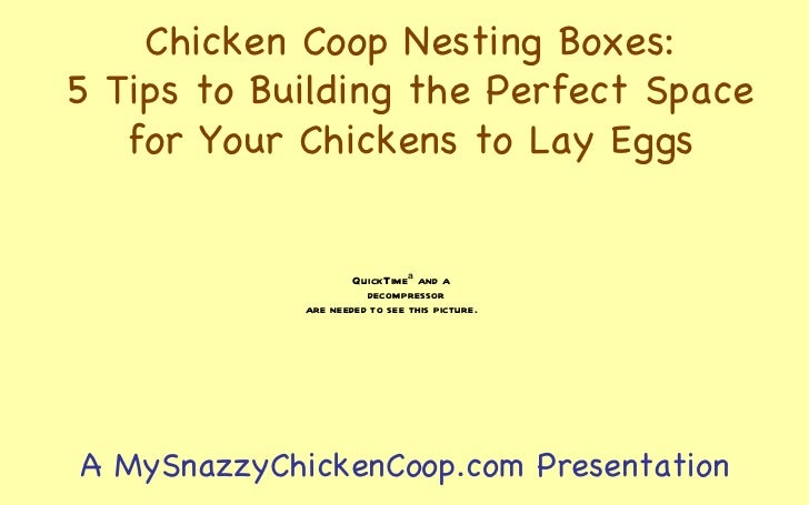 Chicken Coop Nesting Boxes – 5 Tips to Building the Perfect Space
