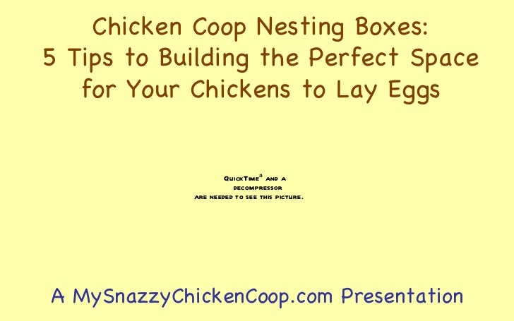 Chicken Coop Nesting Boxes – 5 Tips to Building the Perfect Space ...