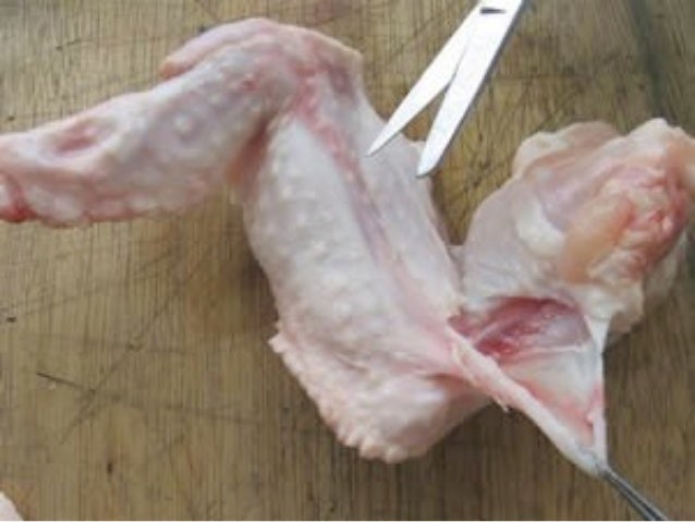 Chicken wing dissection