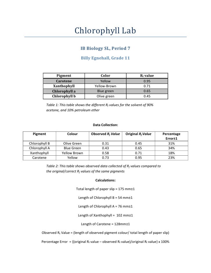 Robert pilawa thesis 07 picture