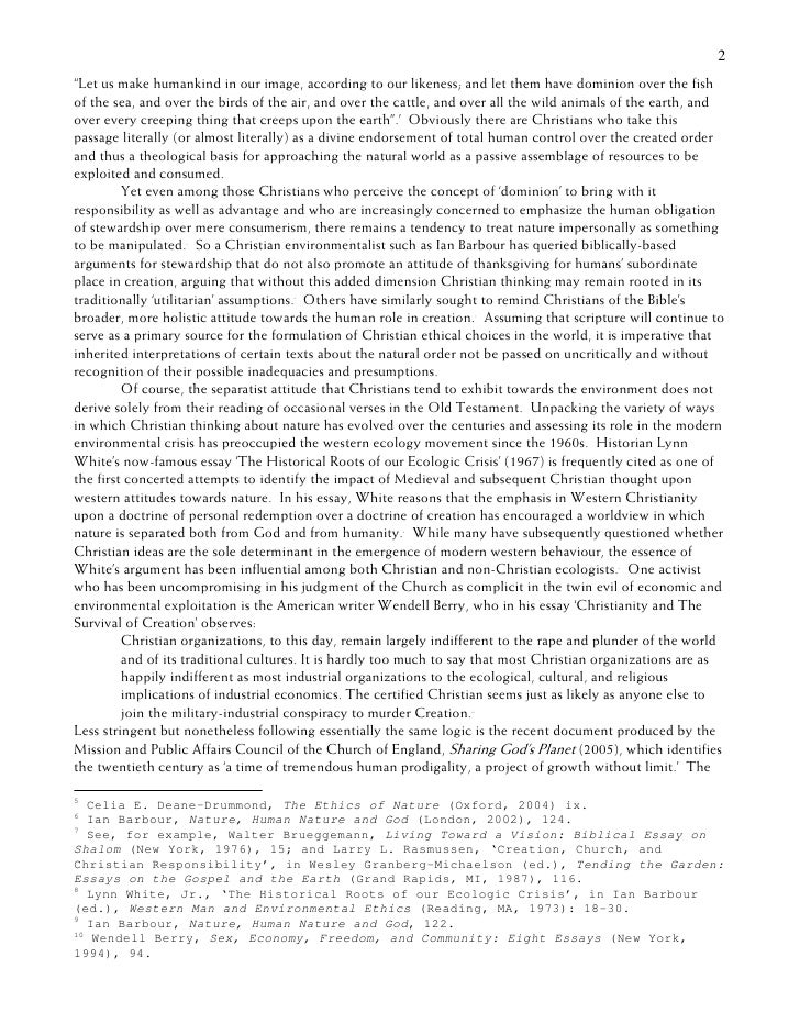 Essay on environmental ethics