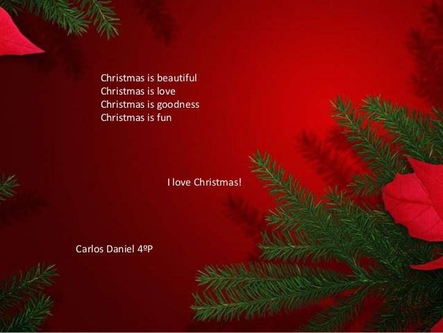 christmas tree care