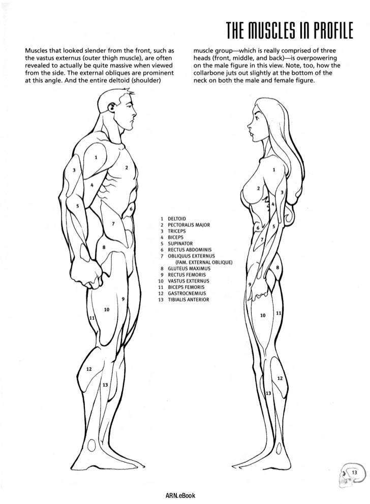 Christopher hart the ultimate guide for comic book artists (drawing…