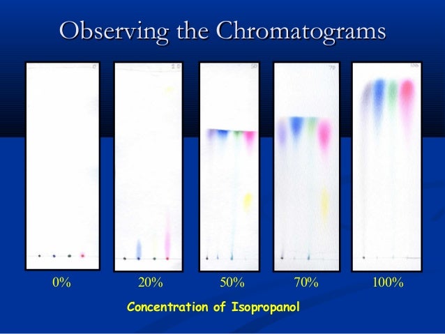 Typing Speed Test Download Free