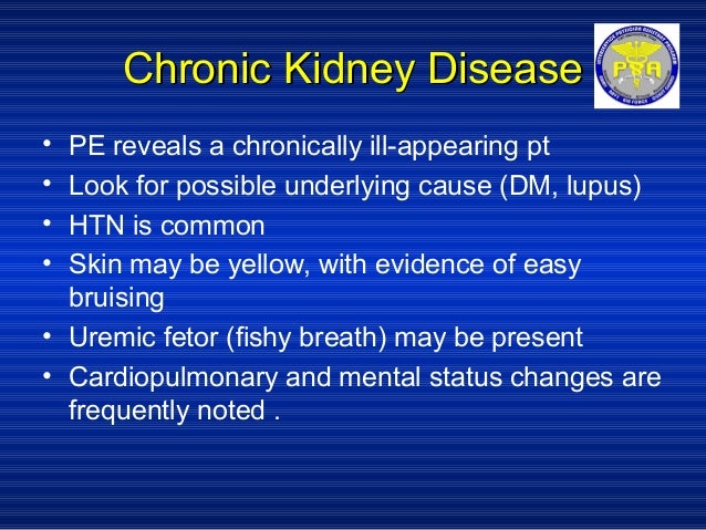 kidney transplant birthday celebration ideas