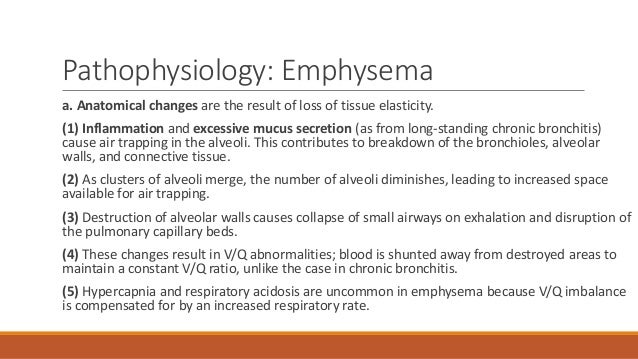 case study respiratory system emphysema case study respiratory system emphysema