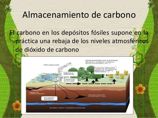 Captura y almacenamiento del carbono Ecologistas en