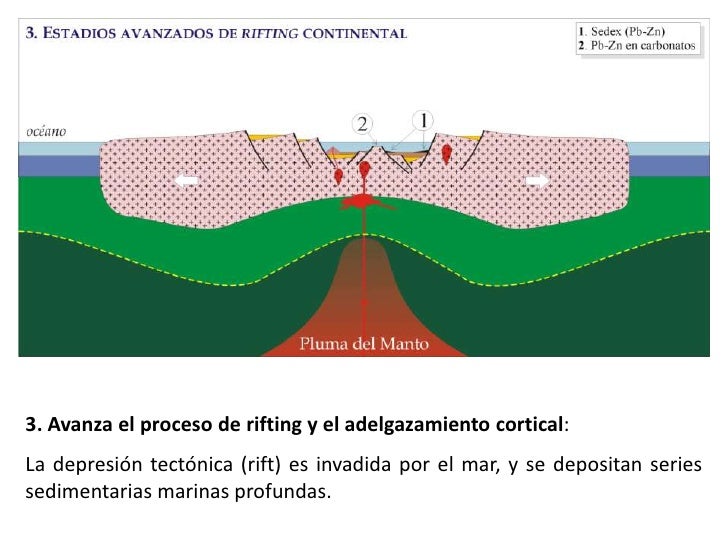 Ciclo De Wilson