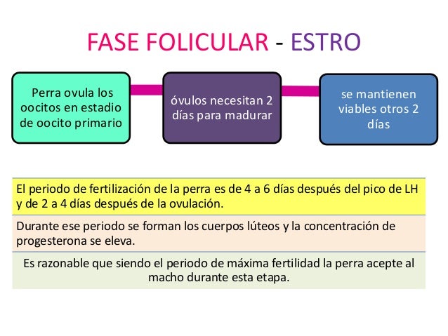 A esta perra no le es suficiente uno 1