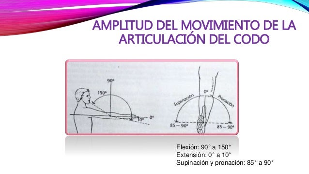 De los ejercicios para 7 minutos que librarán de los dolores en la espalda