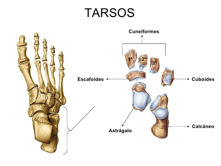 D1-2Dl Taros leidim idavimo, pakeitimo ir galiojimo