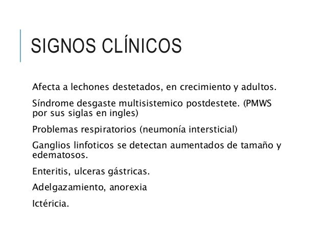 Adelgazamiento Ingles