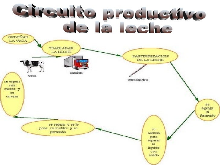 COMO ES EL PROCESO DE LA LECHE como es el proceso de la leche: