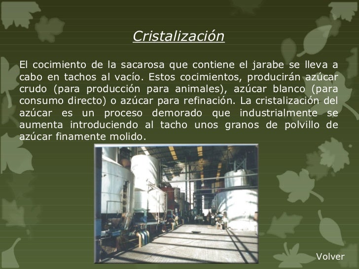 Circuito productivo del azucar