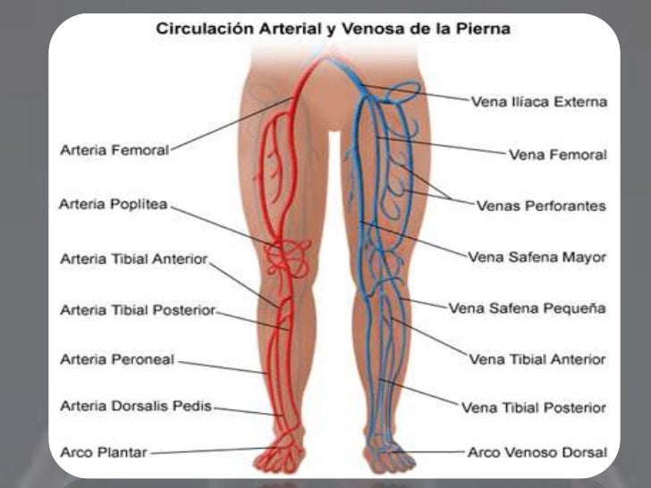 Se hincha el pie después de la operación de la desaparición varikoza