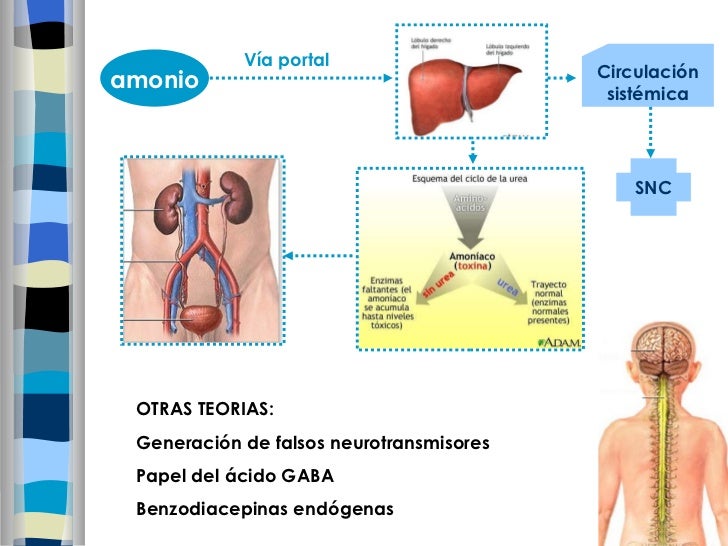 Kolme el análogo es más barato