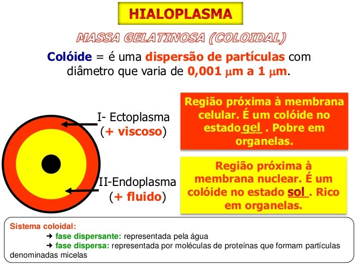 Resultado de imagen de COLOIDE SOL GEL CELULA