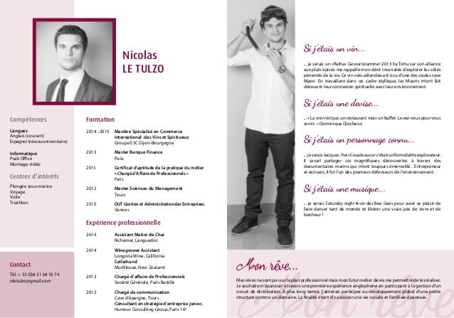 modele cv vin