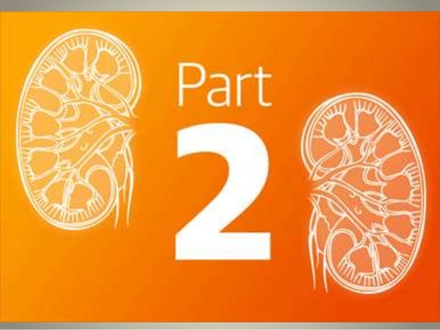 Domestic dialysis nova scotia kidney dialysis patient food plan