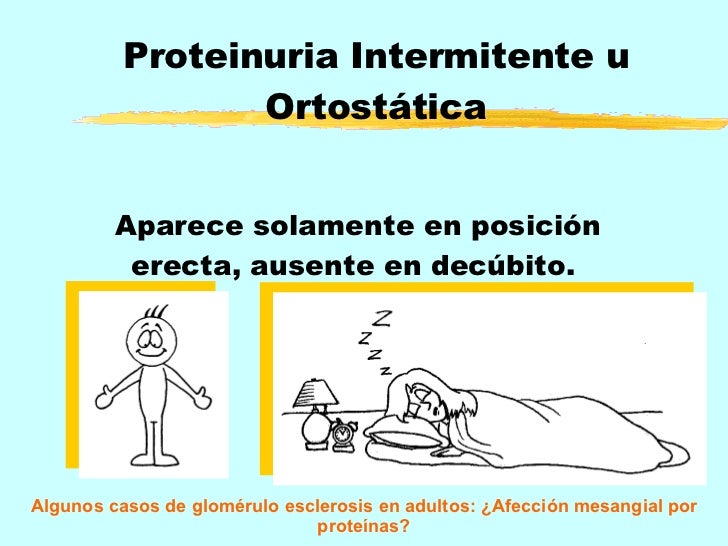 Proteinuria y sus causas