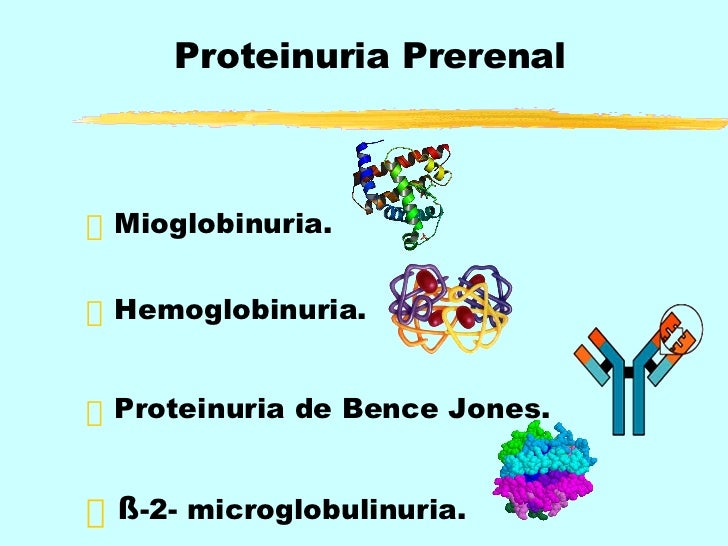 Proteinuria y sus causas