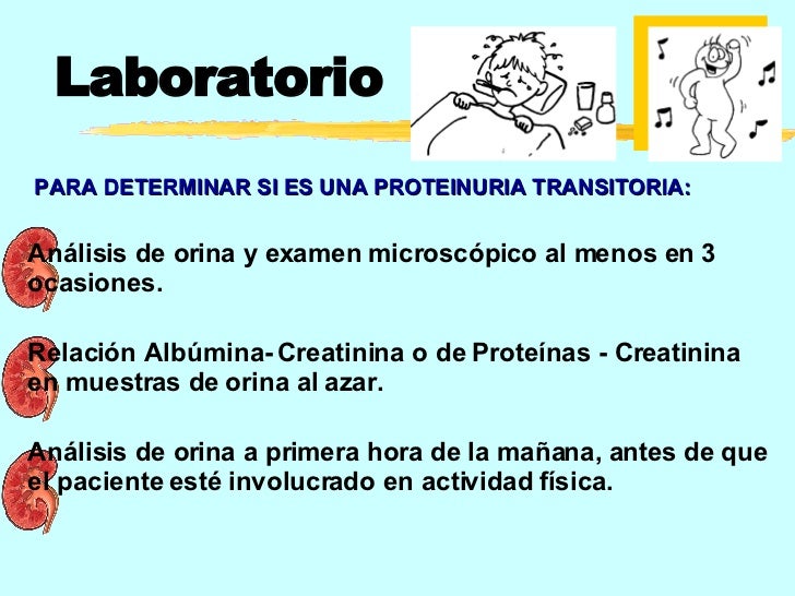 Proteinuria y sus causas