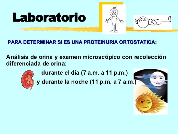 Proteinuria y sus causas Proteinuria y sus causas