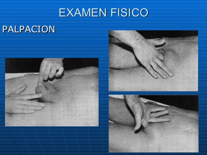 como fazer o exame de gravidez como fazer o exame de gravidez