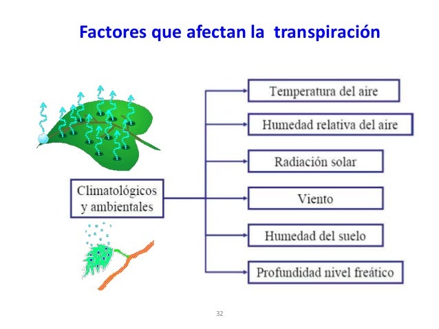 Clase 10 evapotranspiracion