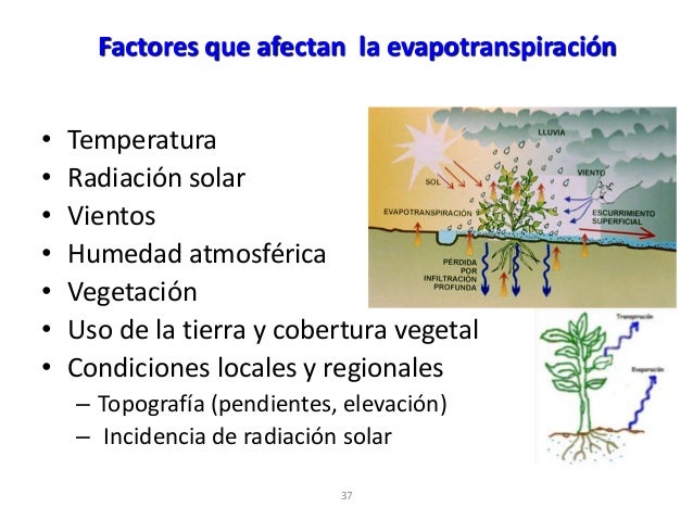 Clase 10 evapotranspiracion