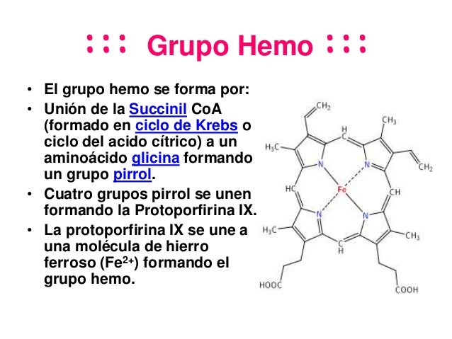 Clase 12 genética sanguinea