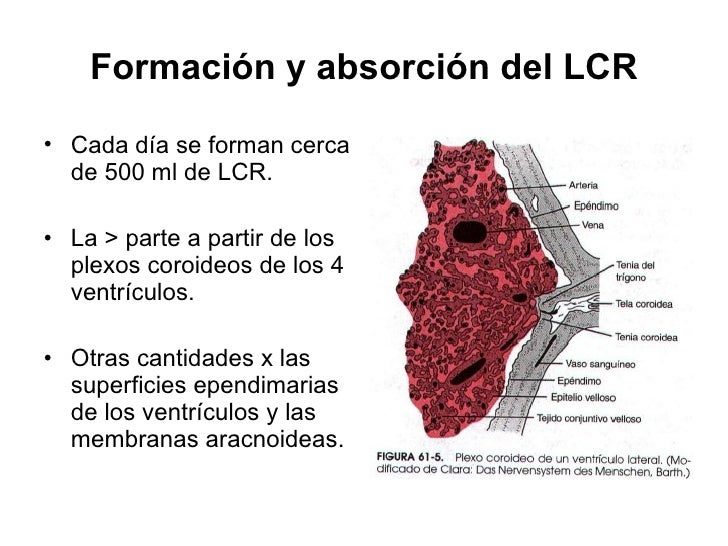Clase 14