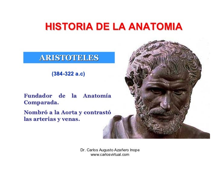 Historia De La Anatomia Historia De La Anatomia