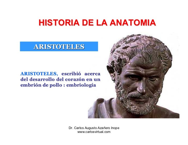 Historia De La Anatomia
