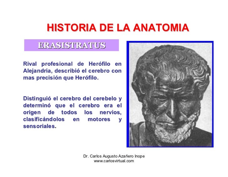 Historia De La Anatomia Historia De La Anatomia