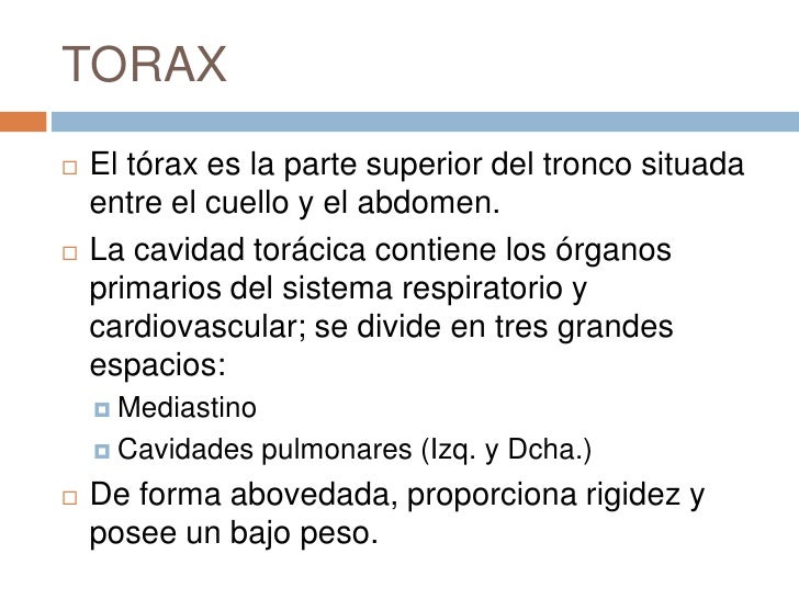 Los dolores en los riñones a endometrioze las revocaciones