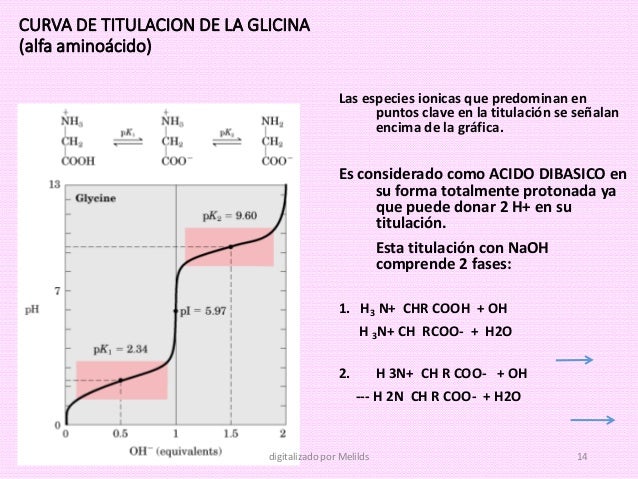 ENZIMAS: Clase 3 aminoacidos 2015-1