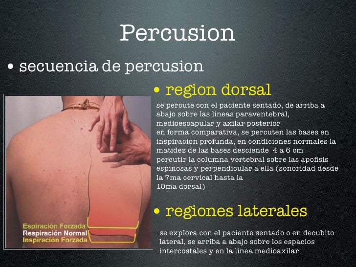 Clase 3 examen aparato respiratorio