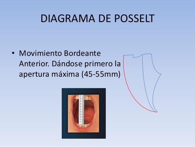 Posiciones y Movimientos Mandibulares