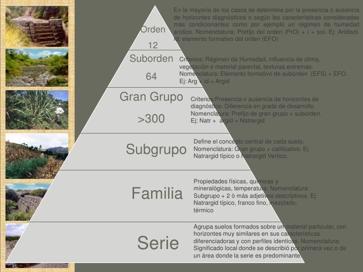 Clase 4. taxonomía de suelos