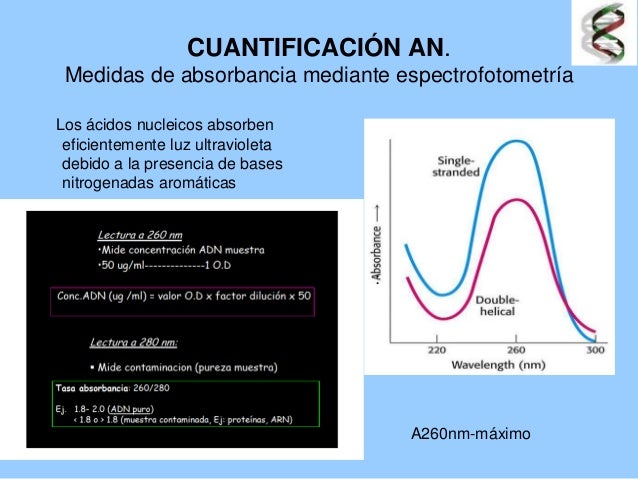 María Ángeles Baridon: Métodos de extracción y purificación de ácidos…