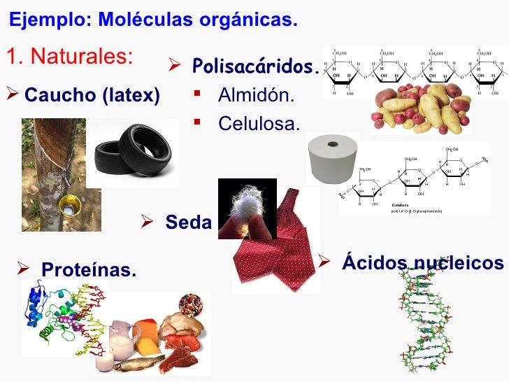 Imagen relacionada
