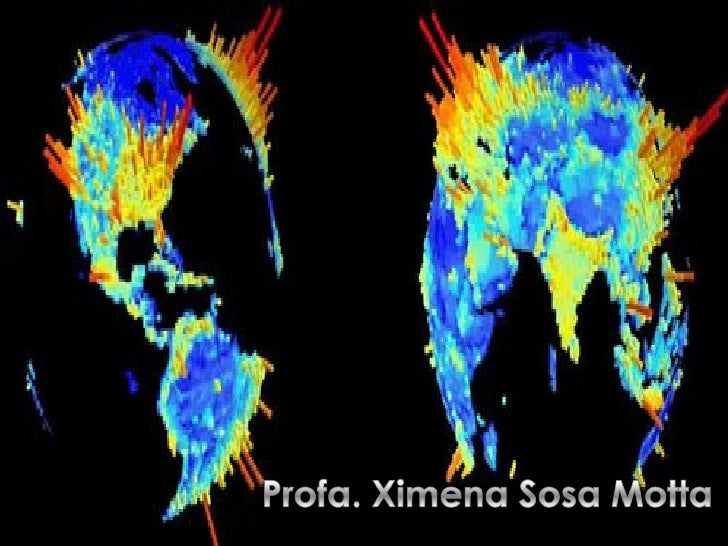 GEOGRAFIA HUMANA Y ECONOMICA geografia humana y economica: