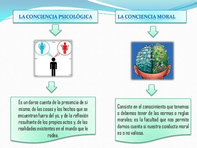 Clases de conciencia