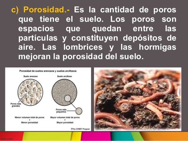 Clases de suelo
