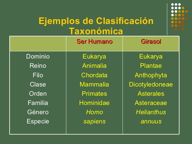 ClasificacióN De Los Seres Vivos